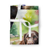 Boykin Spaniel Spring Path Cooking Kitchen Apron product image at NuMercy 3
