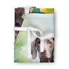 Weimaraner Spring Path Cooking Kitchen Apron product image at NuMercy 3