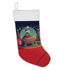 Turtle Christmas Stocking DAC1208 product image at NuMercy 2