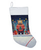 Bear Christmas Stocking DAC1168 product image at NuMercy 2