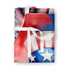 Neapolitan Mastiff Patriotic American Cooking Kitchen Apron product image at NuMercy 3