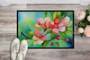 Arkansas Apple Blossom in Watercolor Doormat 24H X 36W DAC1627 product image at NuMercy 2