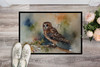 Tawny Owl Doormat 24H X 36W DAC3280 product image at NuMercy 2