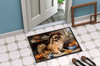 Tibetan Spaniel Fall Kitchen Pumpkins Doormat 24H X 36W product image at NuMercy 4