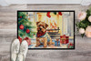 Norfolk Terrier Cozy Christmas Doormat 24H X 36W DAC2709 product image at NuMercy 2