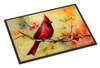 Cardinal Doormat 24H X 36W DAC3198 product image at NuMercy