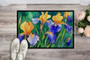 Tennessee Iris in Watercolor Doormat 24H X 36W DAC1706 product image at NuMercy 2
