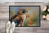 Hawk Doormat 24H X 36W DAC3232 product image at NuMercy 2