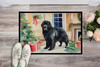 Newfoundland Cozy Christmas Doormat 24H X 36W DAC2708 product image at NuMercy 2