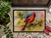 Cardinal Doormat 24H X 36W DAC3200 product image at NuMercy 3