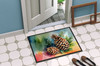 Maine White Pine Cone and Tassels in Watercolor Doormat 24H X 36W DAC1665 product image at NuMercy 4