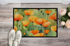 California California Poppies in Watercolor Doormat 24H X 36W DAC1630 product image at NuMercy 2