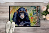 Chimpanzee Doormat 24H X 36W DAC2892 product image at NuMercy 2