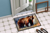 Grizzly Bear Doormat 24H X 36W DAC2927 product image at NuMercy 4