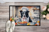 Border Collie The Chef Doormat 24H X 36W product image at NuMercy 2
