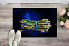Jaimie's Bunch Asparagus Doormat 24H X 36W product image at NuMercy 2