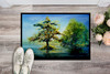 Cypress Tree in the Bayou Blue Doormat 24H X 36W product image at NuMercy 2