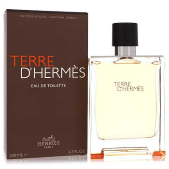 Terre D'Hermes by Hermes Eau De Toilette Spray 6.7 oz product image at NuMercy
