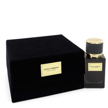 Dolce and Gabbana Velvet Incenso by Dolce and Gabbana Eau De Parfum Spray 1.6 oz product image at NuMercy