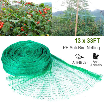 13 x 33ft Garden Netting Heavy Duty PE Anti Bird Netting Plants Fruits Tree Vegetables Protection Netting Net product image at NuMercy