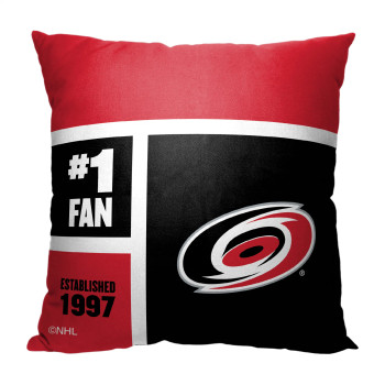 Carolina Hurricanes NHL Colorblock Personalized Pillow