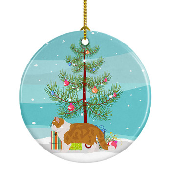 Exotic Shorthair Cat Christmas Ceramic Ornament CK4620 product image at NuMercy