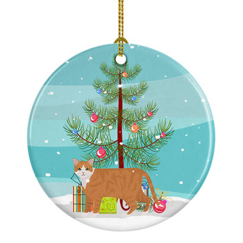 European Shorthair Cat Christmas Ceramic Ornament CK4617 product image at NuMercy