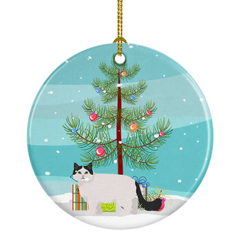 Ragamuffin Cat Christmas Ceramic Ornament CK4690 product image at NuMercy