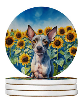 American Hairless Terrier in Sunflowers Large Sandstone Absorbent Round Coasters Pack of 4 product image at NuMercy