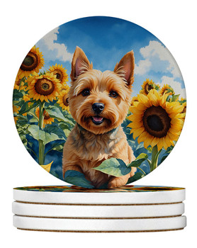 Norwich Terrier in Sunflowers Large Sandstone Absorbent Round Coasters Pack of 4 product image at NuMercy