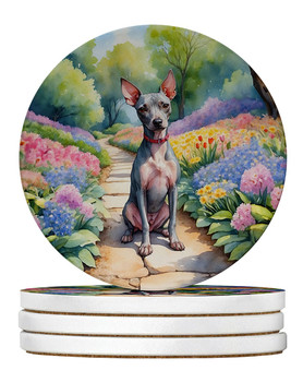 American Hairless Terrier Spring Garden Large Sandstone Absorbent Round Coasters Pack of 4 product image at NuMercy