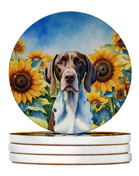 Pointer in Sunflowers Large Sandstone Absorbent Round Coasters Pack of 4 product image at NuMercy