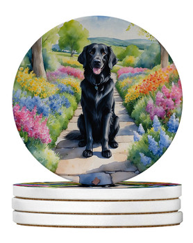 Flat-Coated Retriever Spring Path Large Sandstone Absorbent Round Coasters Pack of 4 product image at NuMercy