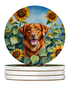 Nova Scotia Duck Toller in Sunflowers Large Sandstone Absorbent Round Coasters Pack of 4 product image at NuMercy