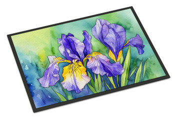 Tennessee Iris in Watercolor Doormat 24H X 36W DAC1707 product image at NuMercy