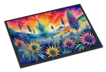Eryngium in Color Doormat 24H X 36W product image at NuMercy