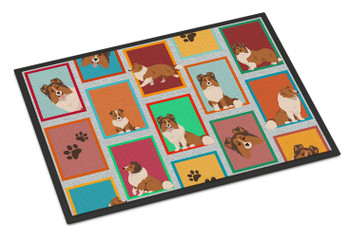 Lots of Sheltie Doormat 24H X 36W product image at NuMercy