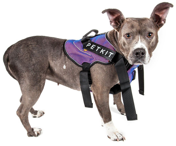 Petkit Air Quad-Connecting Adjustable Cushioned Chest Compression Dog Harness (Medium, Orange/Blue)