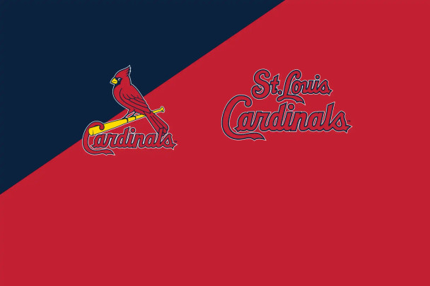 MLB St. Louis Cardinals Men's L/XL Silk Touch Personalized Bath Robe (Charcoal)