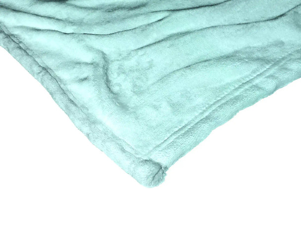 Disney Winnie The Pooh Daisies and Friends Silk Touch Throw Blanket