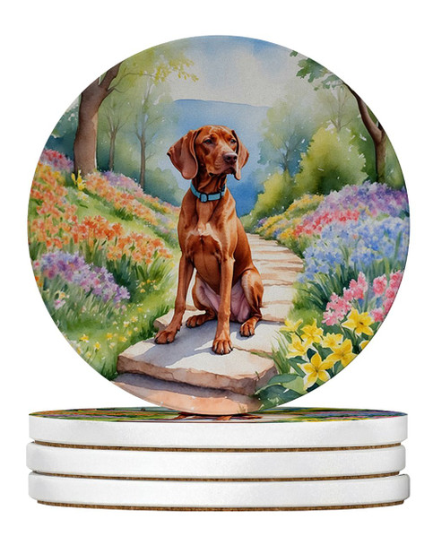 Vizsla Spring Path Large Sandstone Absorbent Round Coasters Pack of 4 product image at NuMercy