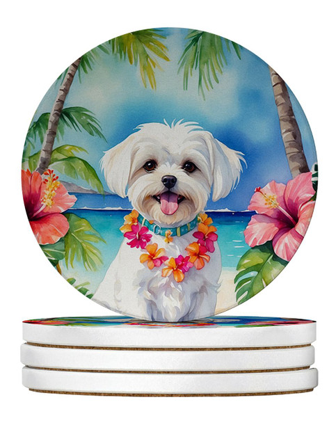 Maltese Luau Large Sandstone Absorbent Round Coasters Pack of 4 DAC6472 product image at NuMercy