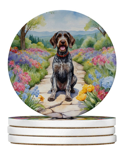 German Wirehaired Pointer Spring Path Large Sandstone Absorbent Round Coasters Pack of 4 product image at NuMercy