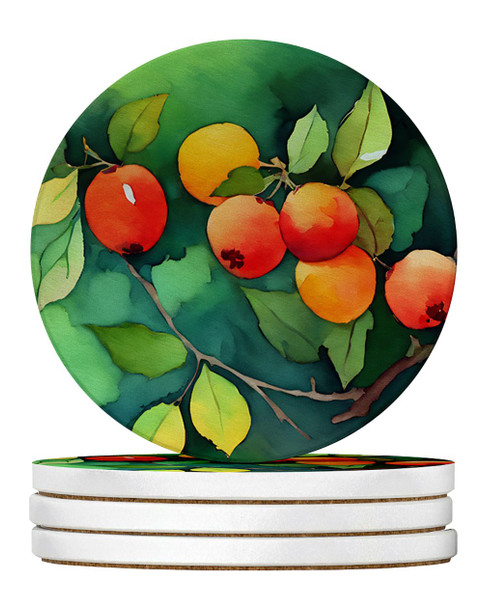 Missouri Hawthorns in Watercolor Large Sandstone Absorbent Round Coasters Pack of 4 DAC1677 product image at NuMercy