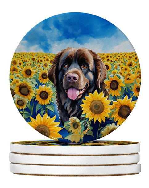 Newfoundland in Sunflowers Large Sandstone Absorbent Round Coasters Pack of 4 DAC6124 product image at NuMercy