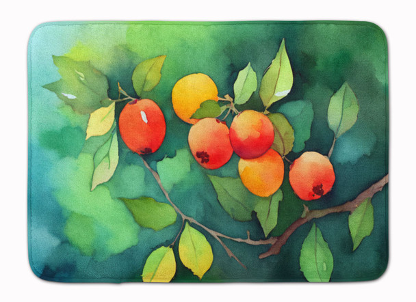 Missouri Hawthorns in Watercolor Memory Foam Bath/Kitchen Mat DAC1677 product image at NuMercy