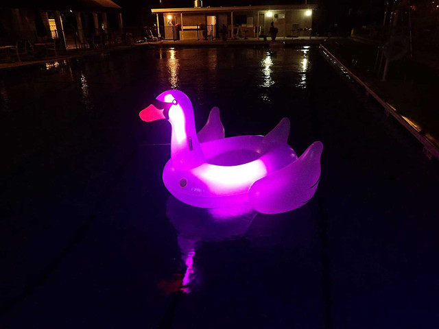 Swimline Giant Inflatable Transparent LED Light-up Ride-on Swan Pool Float