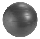 Throwdown Stability Balls - Cardio