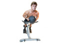 The Abs Company Lumbarx™ - Strength Training
