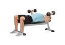 Hoist Fitness HF-5163 Flat Utility Bench - Strength Training